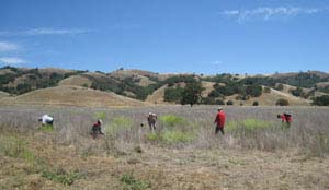 Amah Mutsun Workers - July 2015