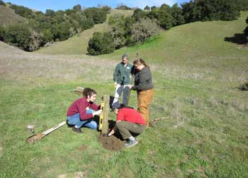 Setting trail cameras to monitor wildlife at the Reserve - SJSU Students