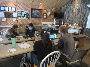 Students compiling field camera data
