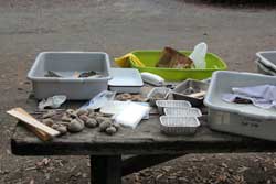 Outdoor Lab