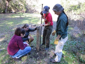 Students setting camera station for wildlife surveys