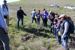 Community Partners - SJSU Students