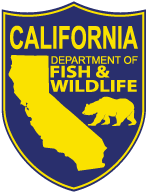dfg logo